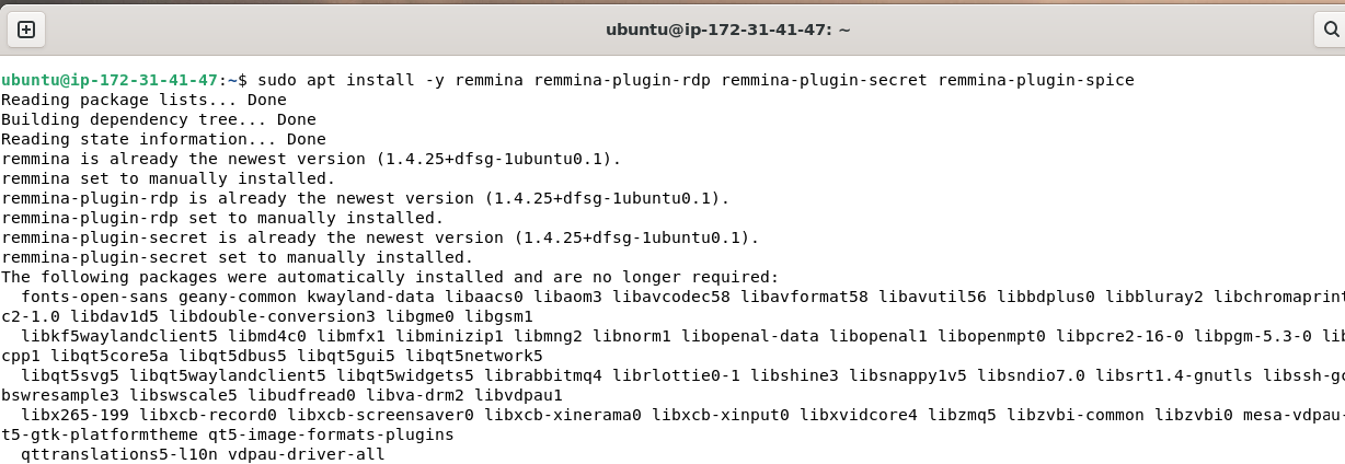 How To Install Remmina Remote Desktop Client On Ubuntu