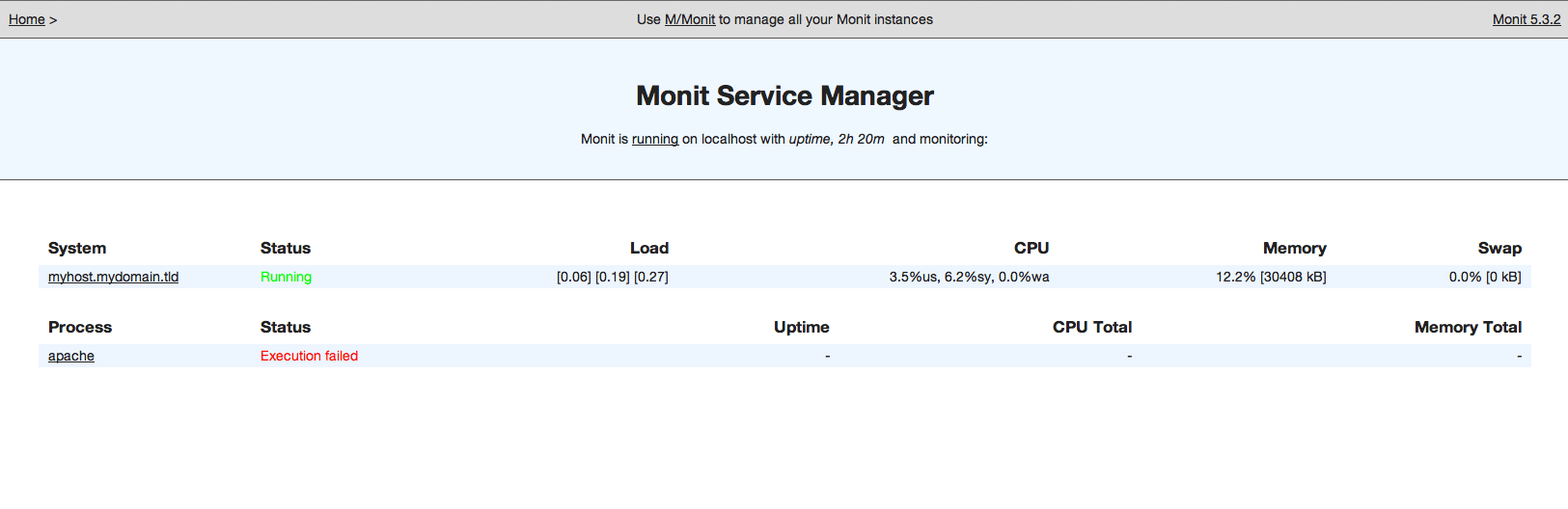 Monit Service Manager