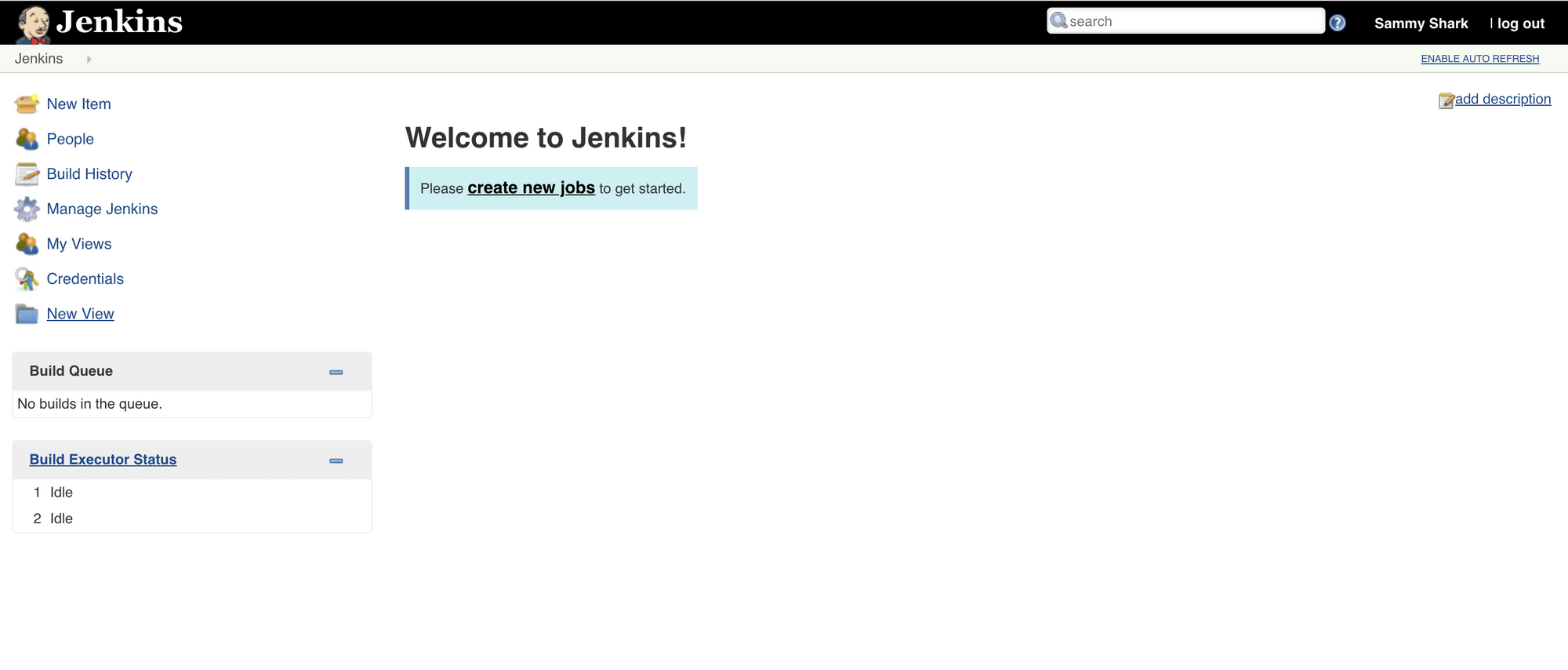 Jenkins dashboard