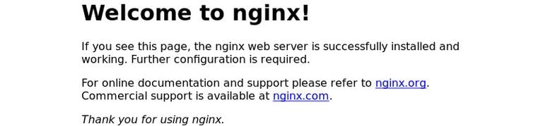 Standard Nginx Landing Page