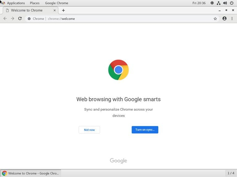 The default Chrome Welcome Page
