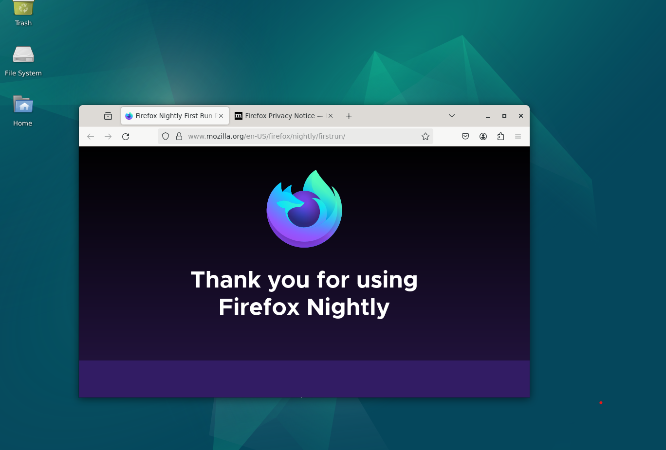 Firefox Nightly Browser