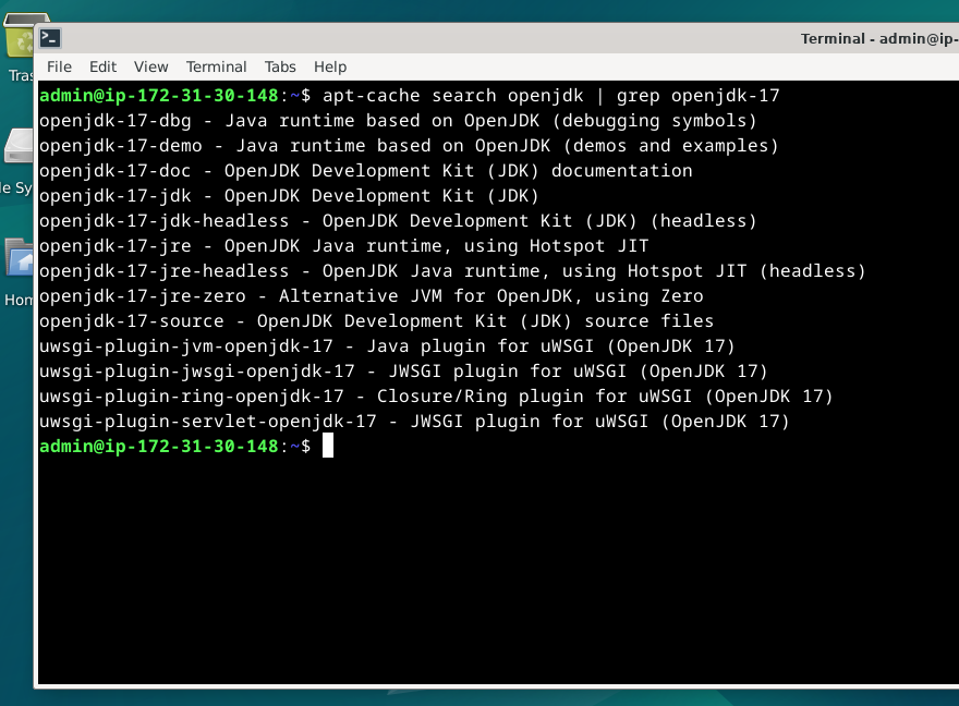 Screenshots showcasing the process of listing OpenJDK 17 on a Debian Linux system.