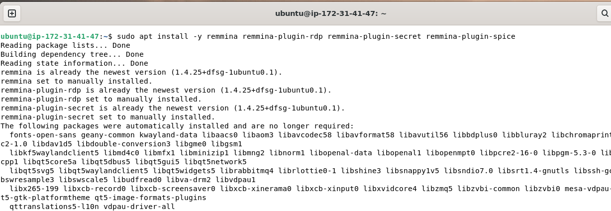 Installing Remmina on Ubuntu via APT
