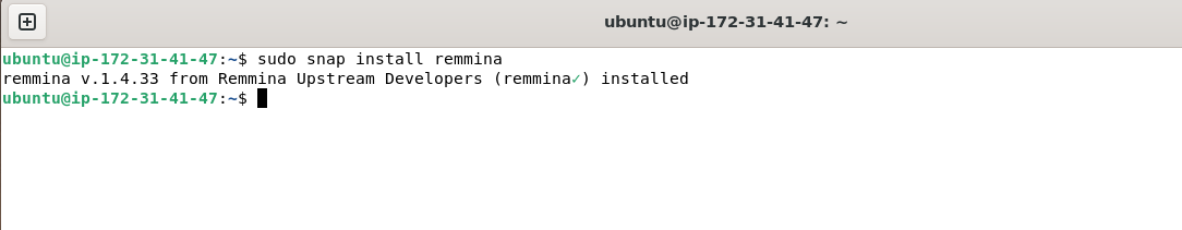 Installing Remmina on Ubuntu Using snap