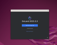 Default user interface of GoLand by JetBrains on Ubuntu 22.04 Linux.