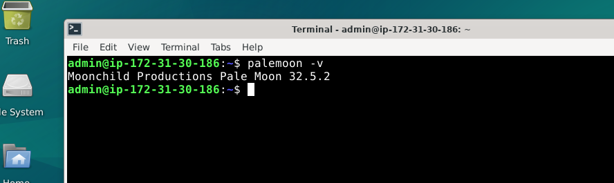Terminal screenshot showing Pale Moon version on Debian Linux