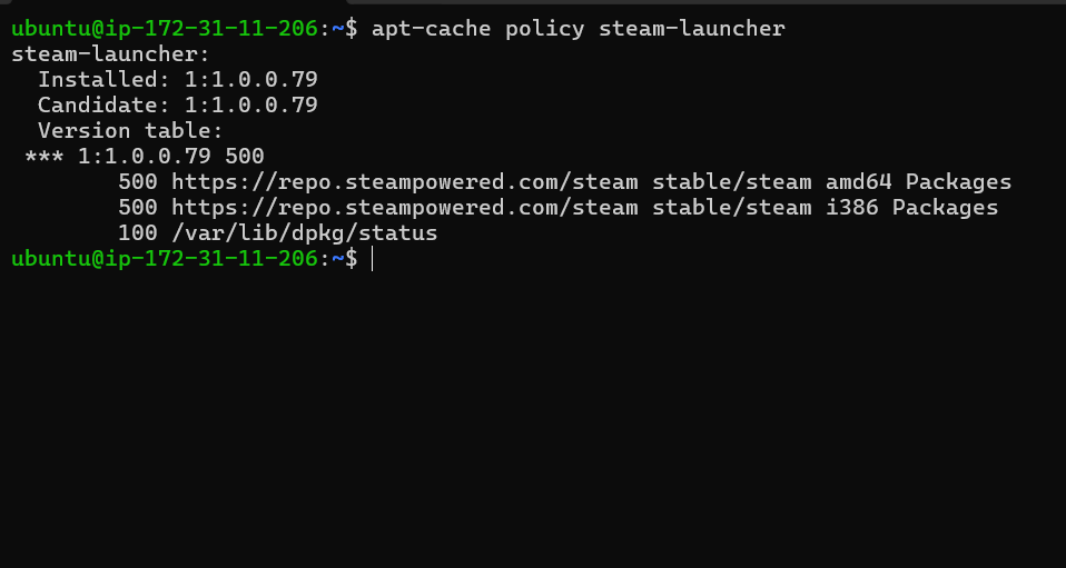 Screenshot showing apt sources list confirming Steam resources have been imported on Debian Linux.