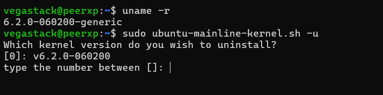 Uninstall Ubuntu Linux Kernel 6.2