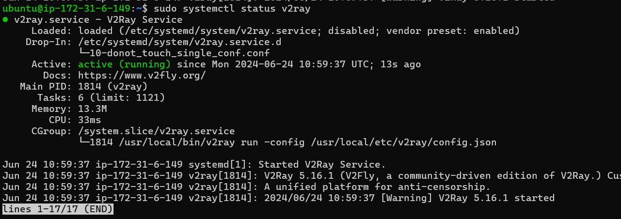 sudo systemctl status v2ray