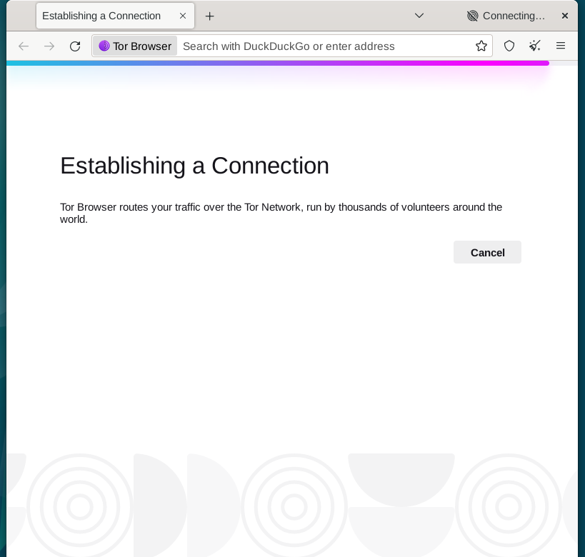 Connecting to the Tor network using Tor Browser on Debian Linux.