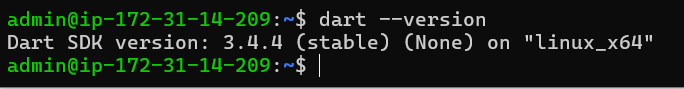 Dart version output in Debian terminal