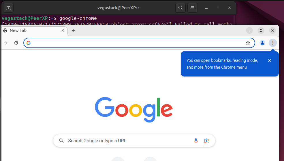 Launching Google Chrome on Ubuntu installed via apt package manager 