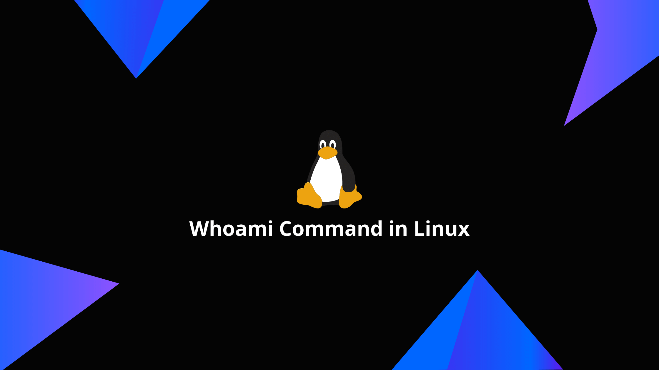 Whoami linux что делает