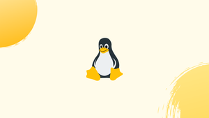 How to Find your IP Address on the Linux