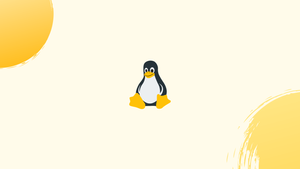 How to Recursively Change the File's Permissions on Linux