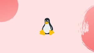 Basic Linux Commands