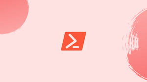 How To Check Existence of Input Argument in a Bash Shell Script