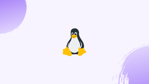 Chmod Command in Linux (File Permissions)