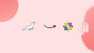 How to Install MariaDB on CentOS 8