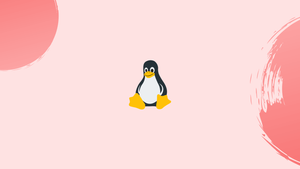 Xargs Command in Linux