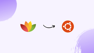 How to Install FreeOffice on Ubuntu 22.04