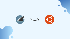 How to Install Wireshark on Ubuntu 22.04