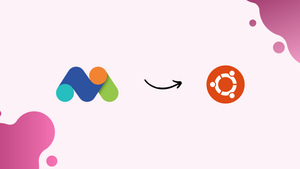How to Install Matomo with Nginx on Ubuntu 22.04