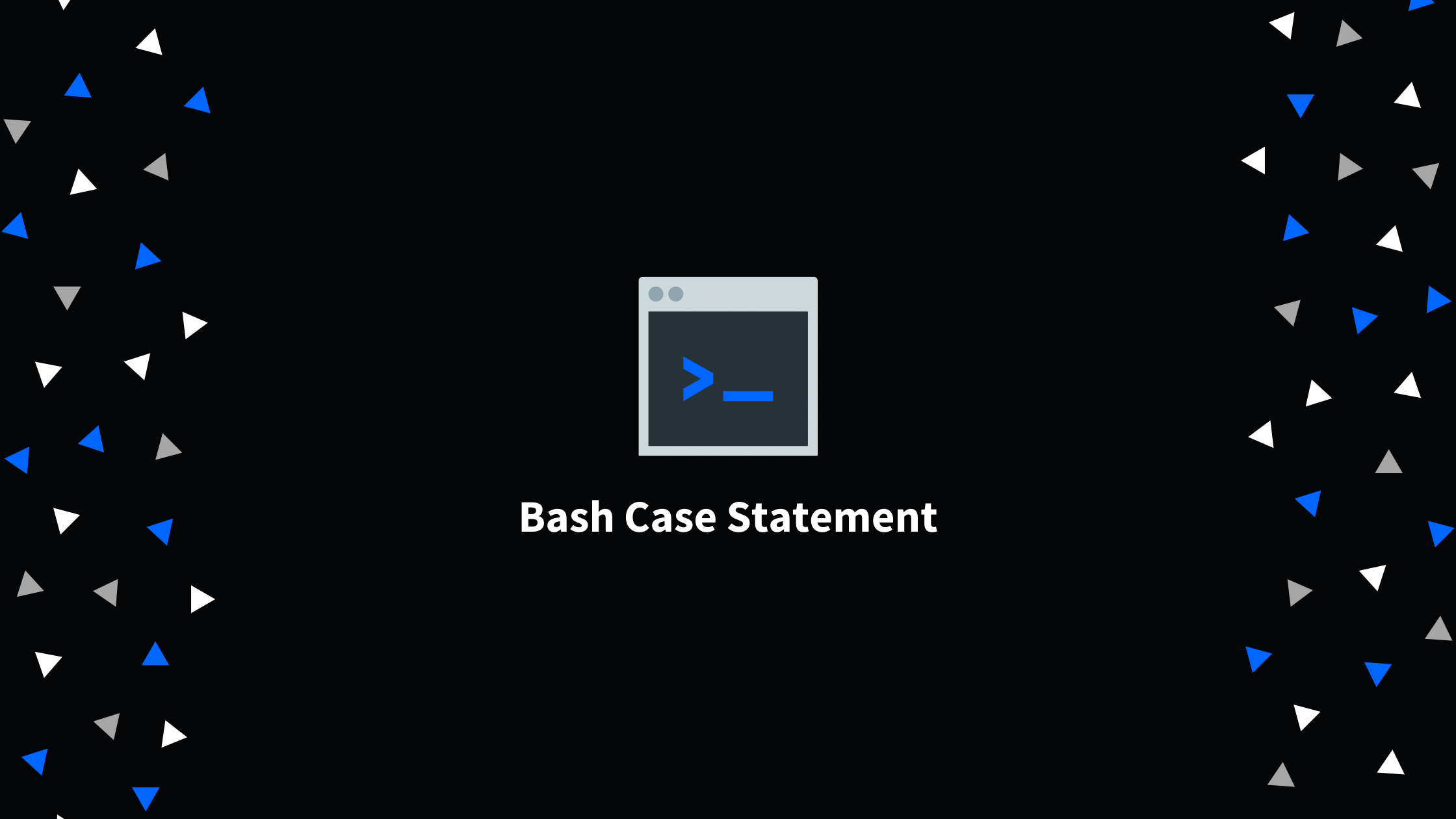 Bash Case Statement